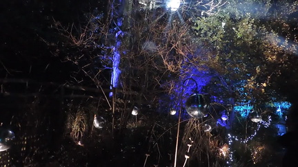 Lights