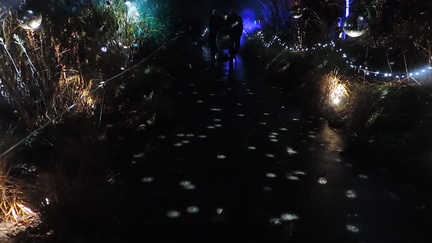 Lights