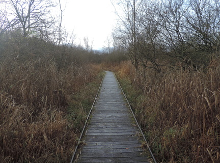 Boardwalk
