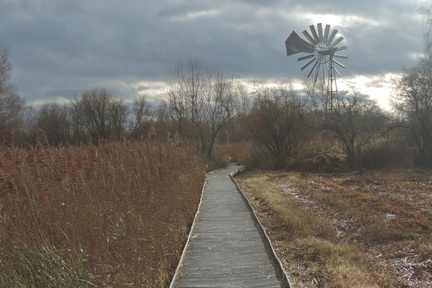 Boardwalk