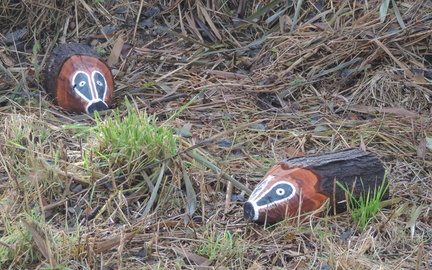 Badgers