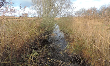 Water channel
