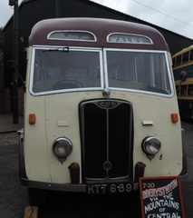 Bus