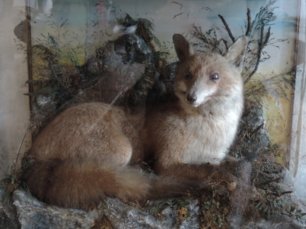 Stuffed fox