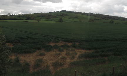 Hillside