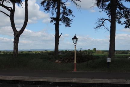 Trees