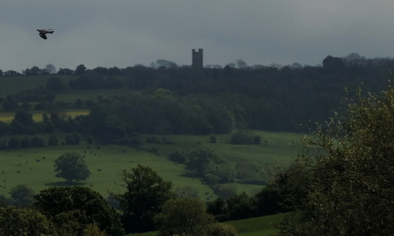 Tower