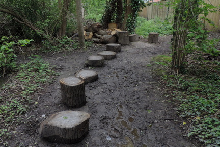 Logs