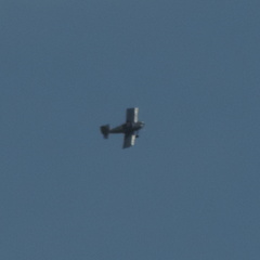 Plane