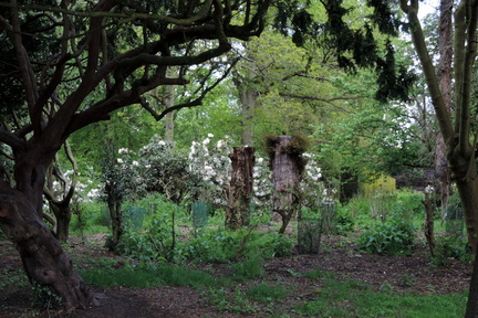 Stumps