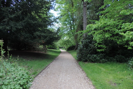 Path