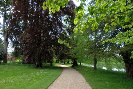 Meandering path
