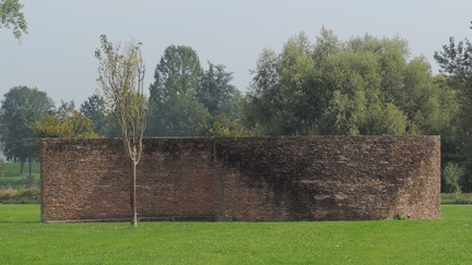 Wall