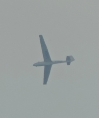 Glider