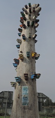 Bird boxes