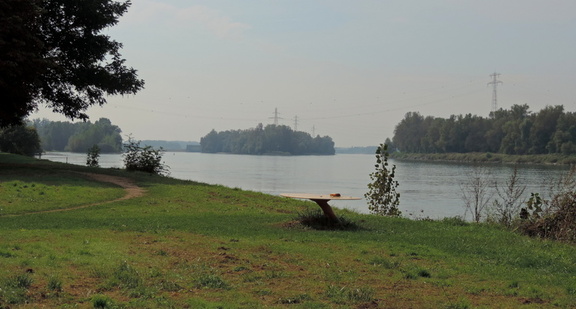 Up the river