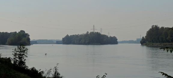 Up the river