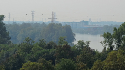 Up the Rhine