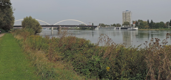 Down the river
