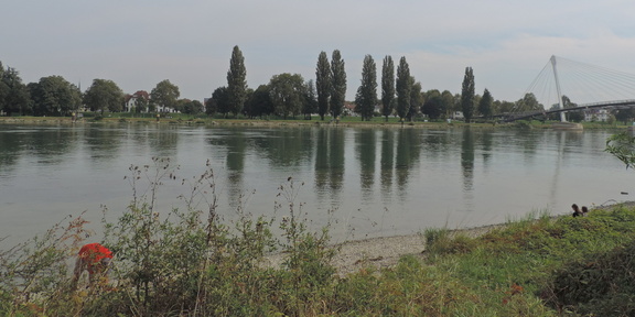 Up the river