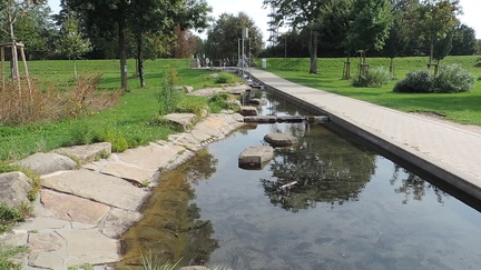 Stream