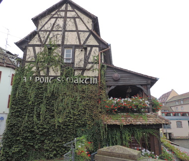 Overgrown building