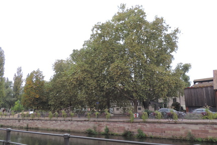 Across the canal