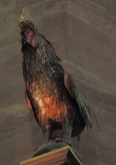 Cockerel