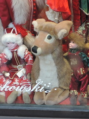 Reindeer