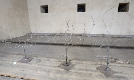 Wire