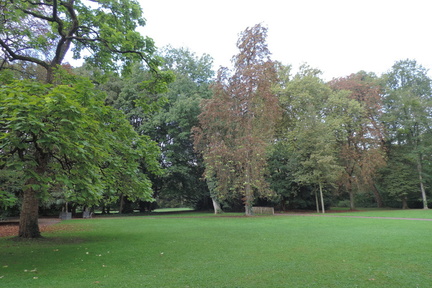 Across the park