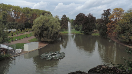 Over the lake