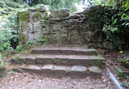 Steps