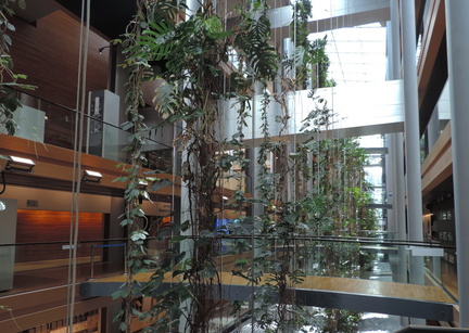 Plants
