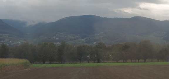 Landscape