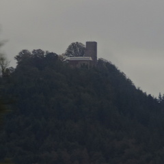 Tower