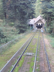 Down the track