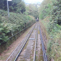 Down the track