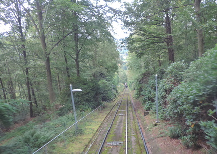 Down the track