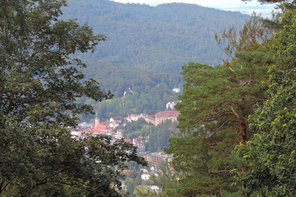 Through the trees
