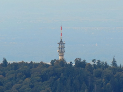 Mast