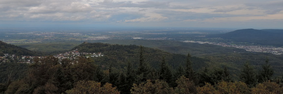 Landscape