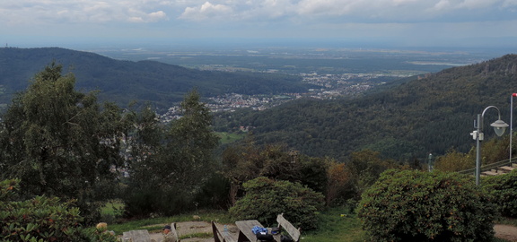 View