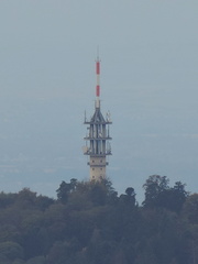 Mast