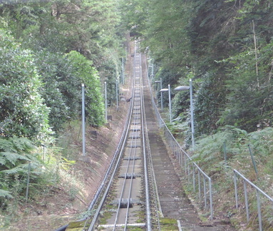 Up the track