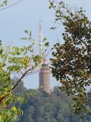 Tower through the trees