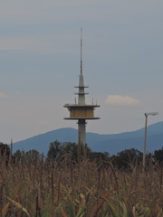 Tower