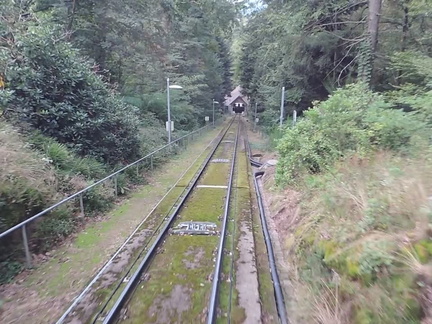 Ascent