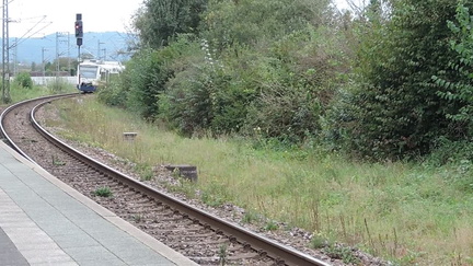 Train approaching