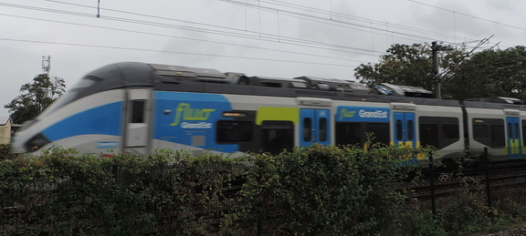 Train